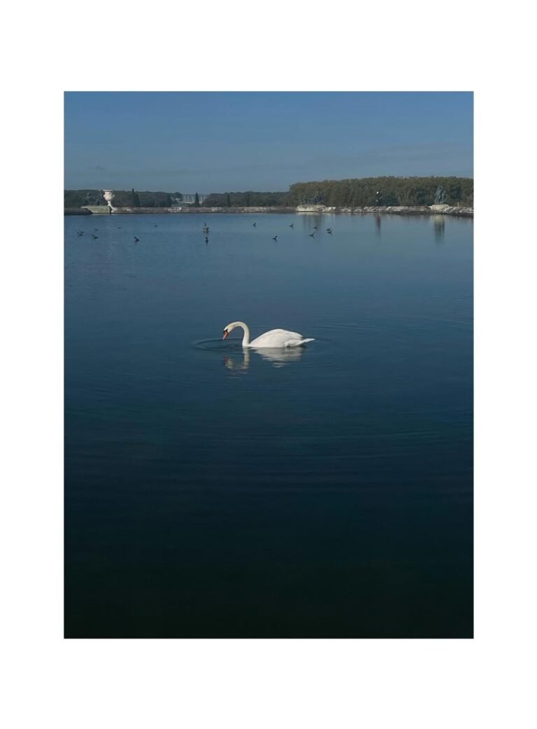 IMG-20241014-WA0015